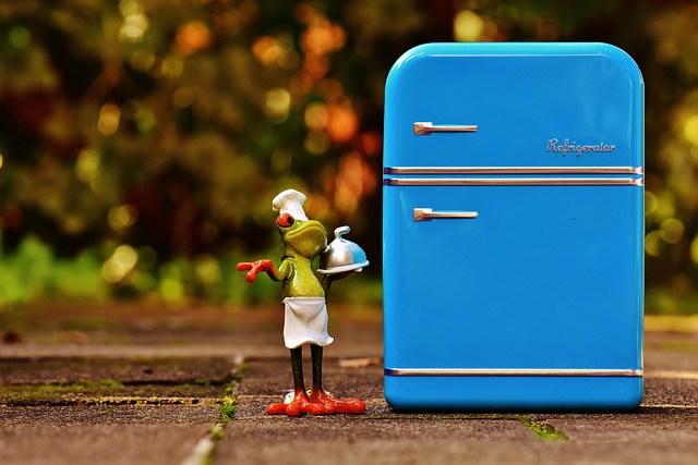 Guide: Sådan rengør og vedligeholder du dit køleskab med fryser